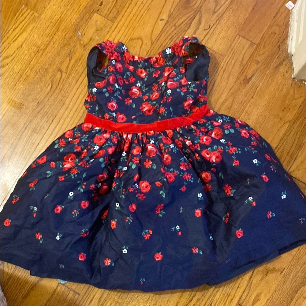 Janie and Jack Blue and Red Sleeveless A-Line Sundress
